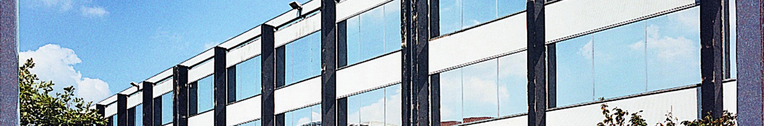 Window Films